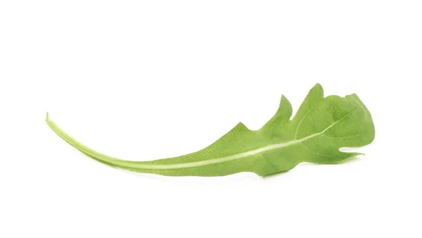 Jeden zelený rucolový salát listy izolované — Stock fotografie