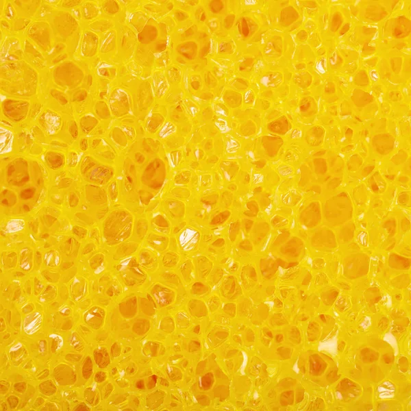 Textura de close-up de uma esponja — Fotografia de Stock