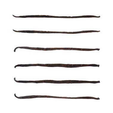 Vanilya pod meyve izole kurutulmuş