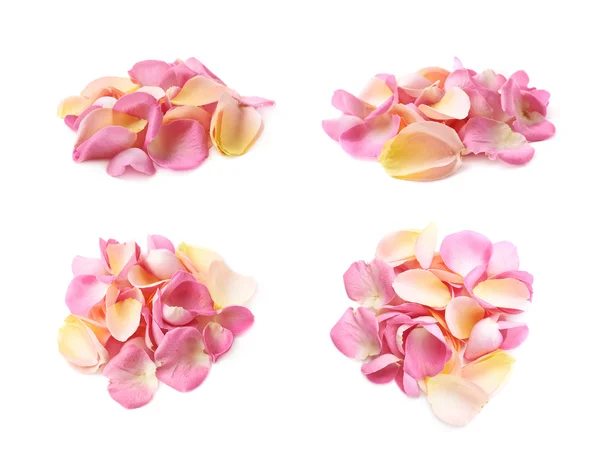 Stapel meerdere rozenblaadjes — Stockfoto