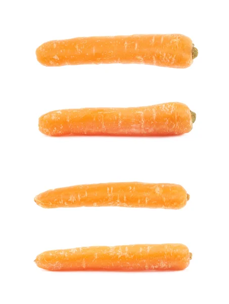 Single baby carrot isolated — Stock Photo, Image