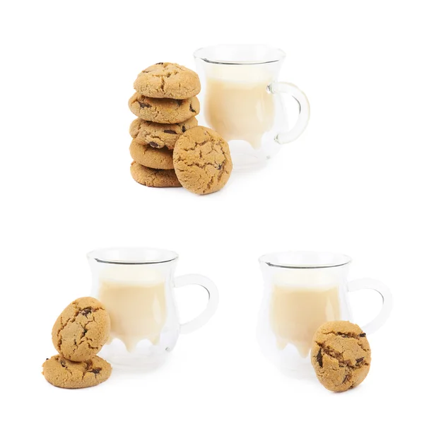 Chocolate chip cookie isolated — Stock Photo, Image