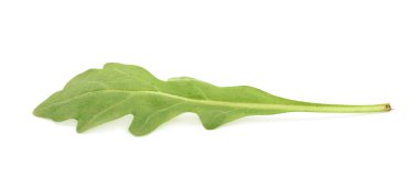 İzole tek yeşil roket salata yaprağı