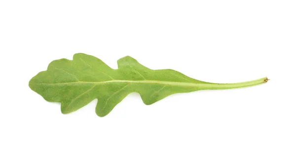 고립 된 단일 녹색 로켓 샐러드 잎 — 스톡 사진