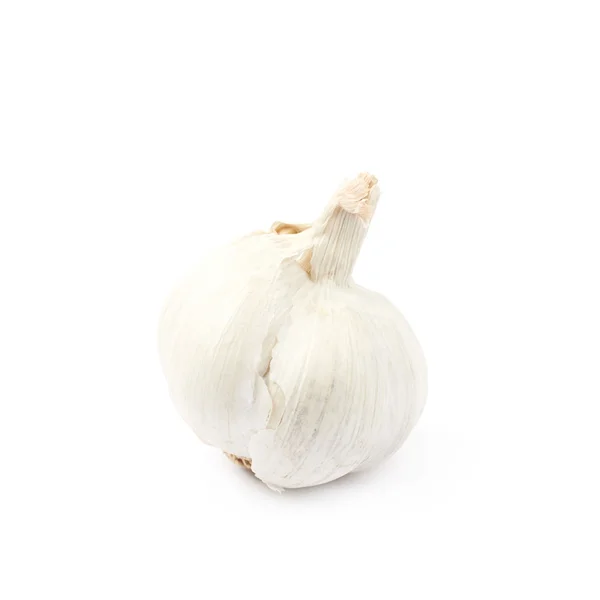 Single bulb of garlic isolated — Stock Photo, Image