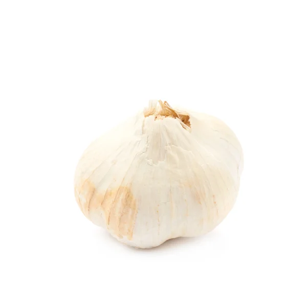Single bulb of garlic isolated — Stock Photo, Image