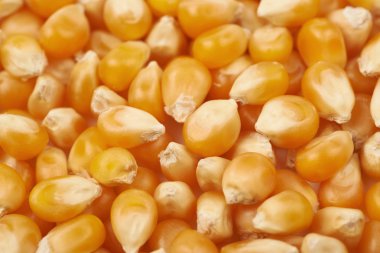 Mısır taneleri ile kaplı yüzey