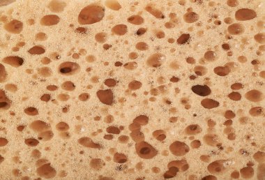 Yakın çekim sünger parçası