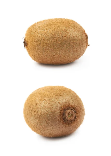 Ripe kiwi fruit isolated — Stock Photo, Image
