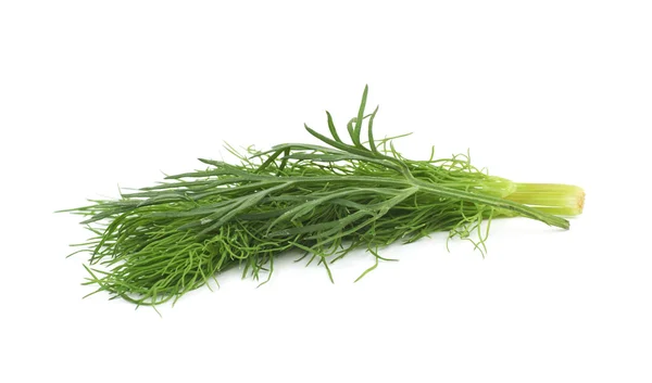 Dill ört isolerade — Stockfoto