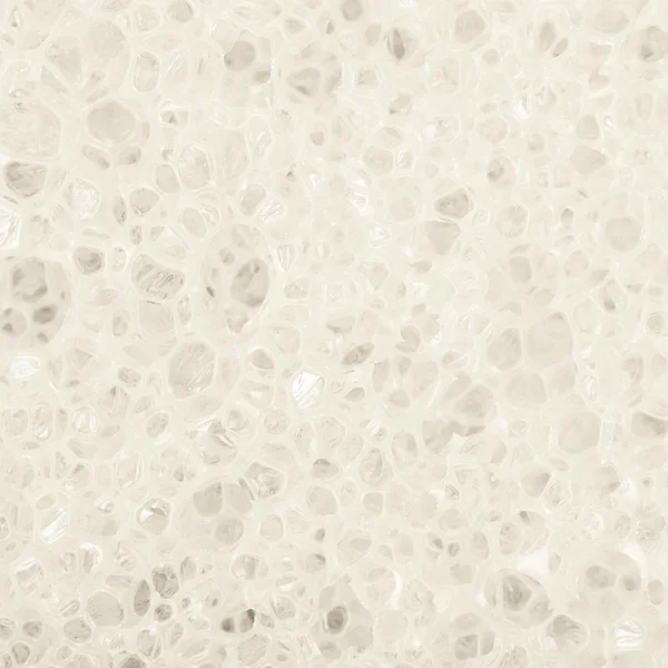 Close-up texture of a sponge — Stock Photo, Image