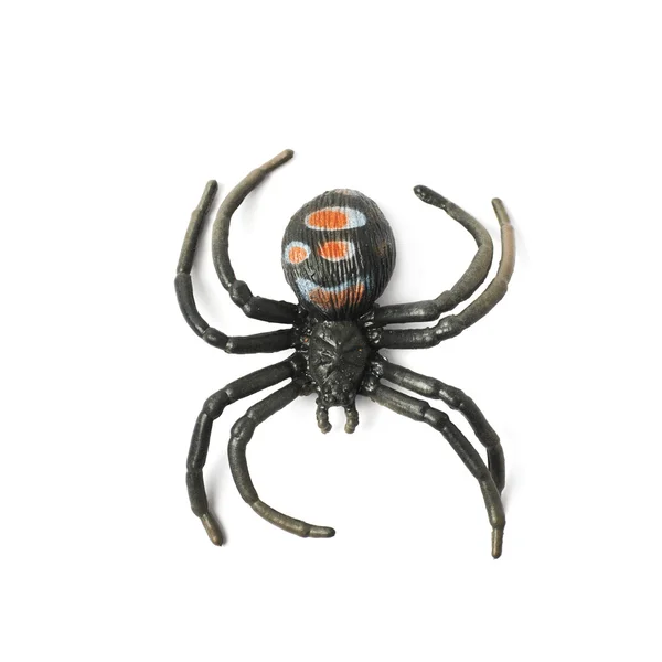Brinquedo de aranha de borracha falsa isolado — Fotografia de Stock