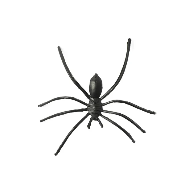 Fake rubber spider toy isolated — Stock Photo, Image