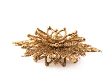 Altın Christmas dekorasyon yıldız izole