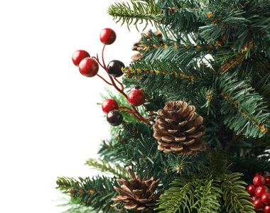 Bir Noel ağacı izole parçası