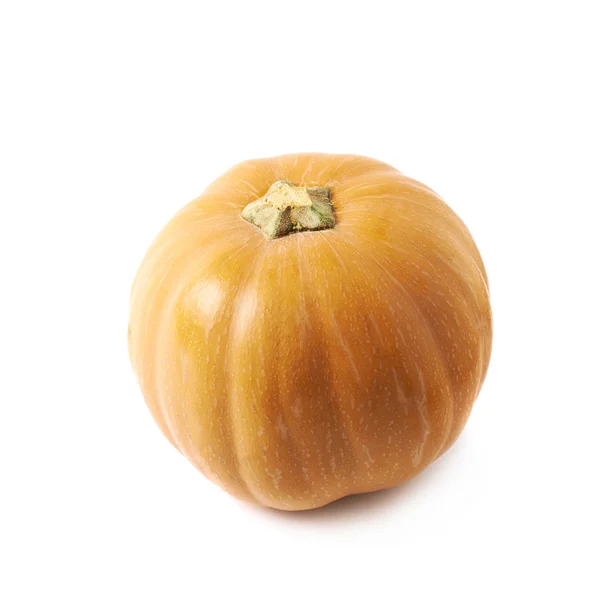 Jediné zralé oranžové pumpking izolované — Stock fotografie
