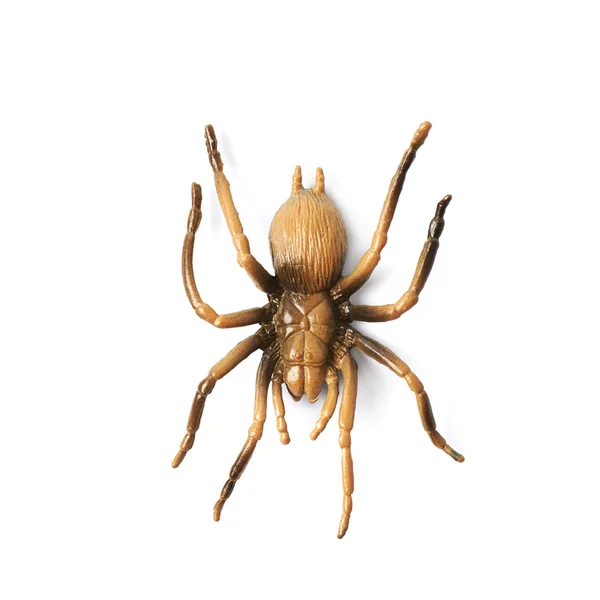 Brinquedo de aranha de borracha falsa isolado — Fotografia de Stock
