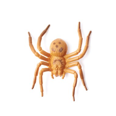 Sahte lastik örümcek oyuncak izole