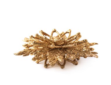 Altın Christmas dekorasyon yıldız izole