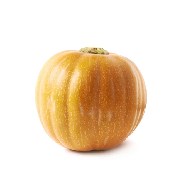 Single ripe orange pumpking isolated — Stock Photo, Image