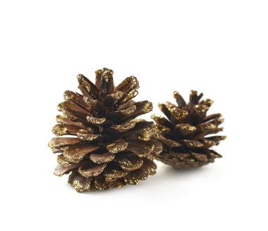 Decorational koni izole yığını