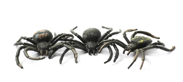 Brinquedo de aranha de borracha isolado — Fotografia de Stock
