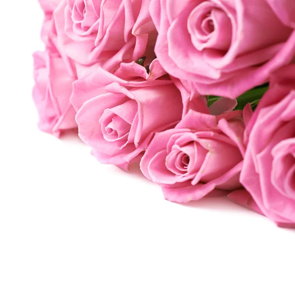 孤立的粉红玫瑰花束 — 图库照片