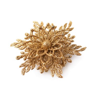 Altın Christmas dekorasyon yıldız izole