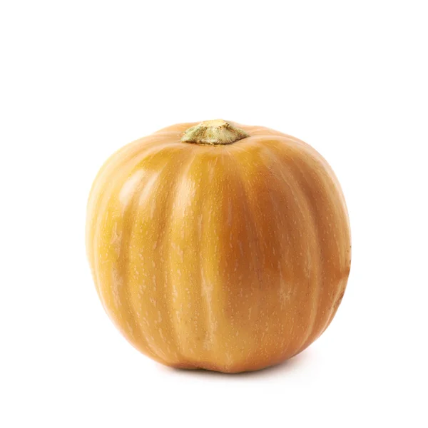 Enkele rijpe oranje pumpking geïsoleerd — Stockfoto