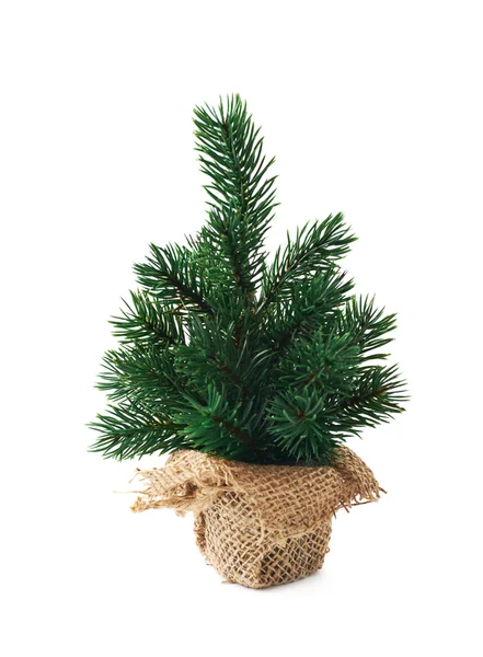 Small artificial Christmas tree isolated — Stock Photo, Image