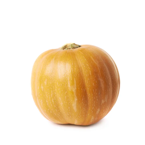 Pojedynczy dojrzałe pumpking pomarańczowy na białym tle — Zdjęcie stockowe