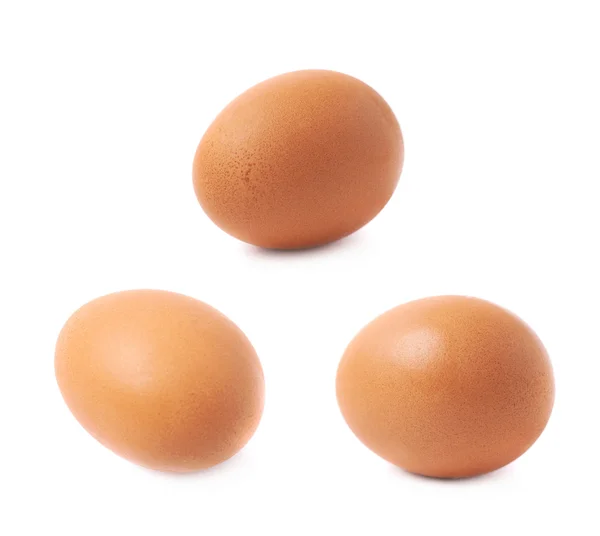 Jeden brązowy kurczaka jaj na białym tle — Zdjęcie stockowe
