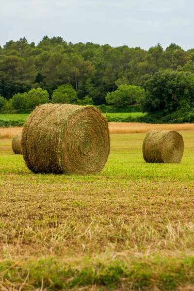 yığın