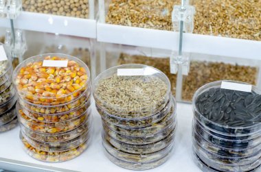 Test tüplerindeki tarım bitkilerinin tohumları