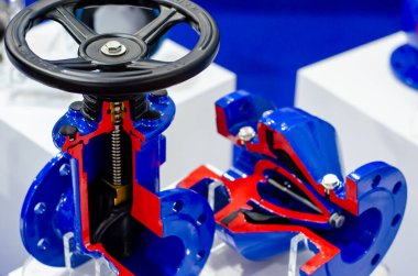 Küre kapakçığı kesme işlemine yakın çekim