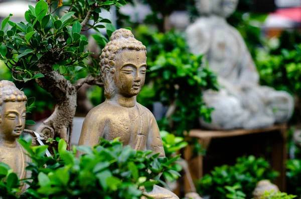 Nahaufnahme Einer Buddha Statue Garten Der Bonsai Bäume — Stockfoto