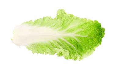 Beyaz arka planda taze Çin lahanası, lezzetli, doğal