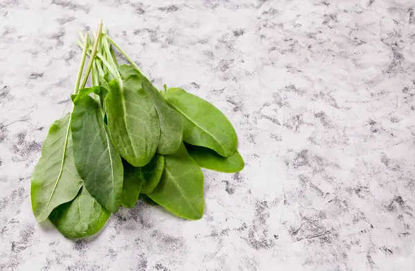 Świeży Organiczny Sorrel Stole Wiosennej Zupy Warzywnej Sałatki Wiosenne Zielone — Zdjęcie stockowe