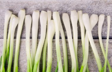 Taze soğan olarak da bilinir. Salata soğanı, yeşil soğan ya da ahşap kaplama soğan.