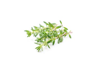 Kekik, beyaz arka planda taze izole edilmiş. Baharat yakın çekim.