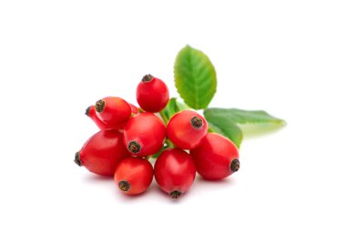 Rosehip beyaz arka planda izole edilmiş. Yapraklı taze çiğ yaban mersini..