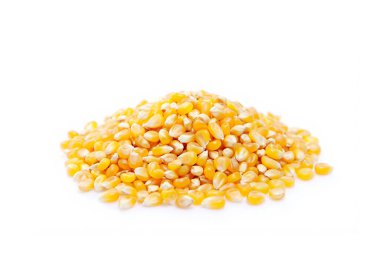 Beyaz arka plan üzerinde izole mısır tohumları.