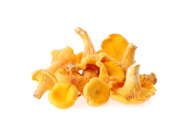 Beyaz arka planda çiğ taze mantarlar.