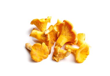 Beyaz arka planda çiğ taze mantarlar.