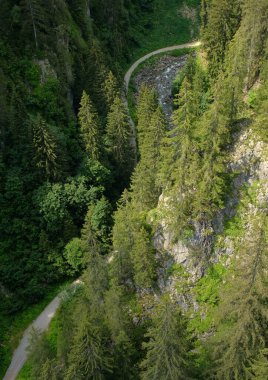 Nehir şelalesi ve ağaçlarla dolu bir vadi.