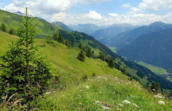 緑の牧草地 高山のコテージや山の峰 レヒカル オーストリア 2020年夏と美しい高山の風景 — ストック写真