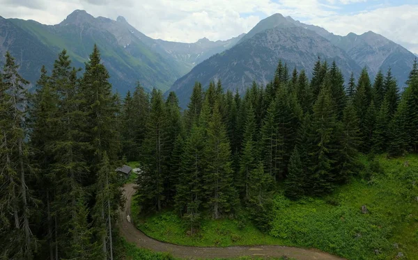 緑の牧草地 高山のコテージや山の峰 レヒカル オーストリア 2020年夏と美しい高山の風景 — ストック写真