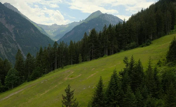 緑の牧草地 高山のコテージや山の峰 レヒカル オーストリア 2020年夏と美しい高山の風景 — ストック写真