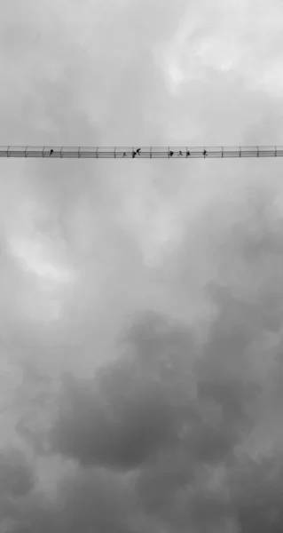 Retrato Branco Preto Pessoas Uma Ponte Suspensão Alta Céu Nublado — Fotografia de Stock