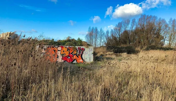 Seni grafiti di tengah-tengah cagar alam Stok Gambar Bebas Royalti